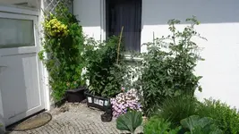 DSC03917.webp