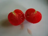 2016-07-10 Stupice _ erste reife Tomate 2016_1.jpg