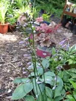 007_576x768.webp