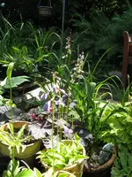 010_576x768.webp