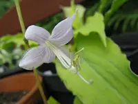 011_1024x768.webp
