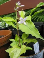 012_576x768.webp