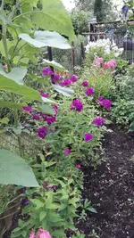 gemischtes 012.webp