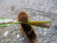 P1200350.webp