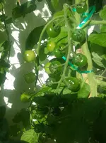 20160711_182228.webp