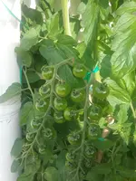 20160711_182314.webp