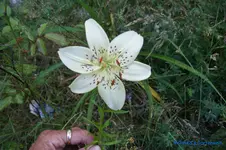 comp_DSC05439.webp