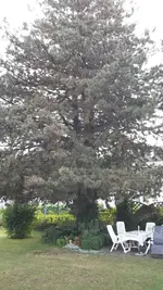 2016-07-11 19.19.18.jpg