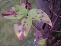 IMGP9475.webp