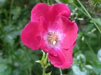 P1010111.webp