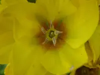P1010116.webp