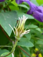 P1010121.webp