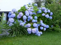 P1010141.webp