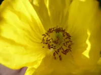P1010157.webp