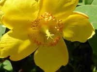 P1010180.webp