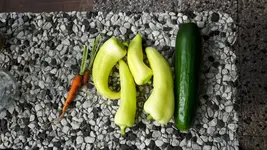 20160712_101457.webp