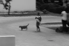 _MG_2158.webp