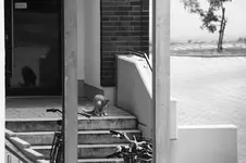 _MG_2167.webp