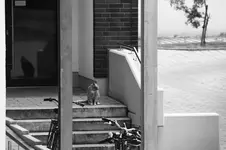 _MG_2168.webp