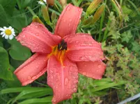 013.webp