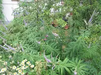 014.webp