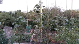 20160712_213114.webp