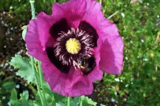 DSCF6769 (2).webp