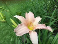 15.webp