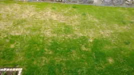 12-07-2016_1.webp
