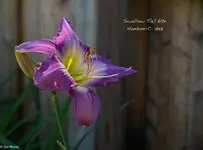 IMG_3410-2.webp
