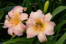 IMG_3614.webp