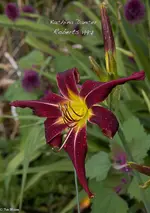IMG_3670-2.webp