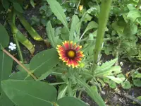 BILD5245.webp