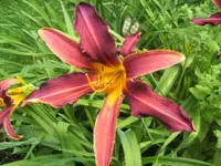 BILD5299.webp