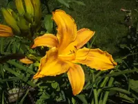 BILD5303.webp