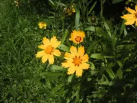 BILD5316.webp