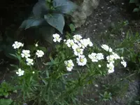 BILD5310.webp