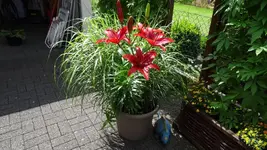 DSC03996.webp