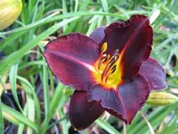 dominik_1024x768.webp
