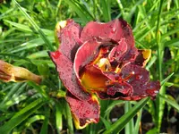 036_1024x768.webp