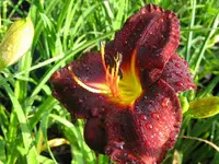 037_1024x768.webp