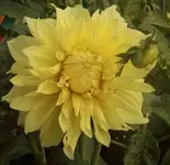 DSCI0907.JPG