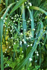 DSCF6728 (2).webp