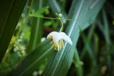 DSCF6729 (2).jpg