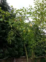 20160714_120514 (Large).webp