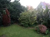 20160714_114400 (Large).webp