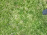 20160714_151913.webp