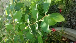20160714_180057.webp