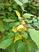IMG-20160714-WA0010.jpg