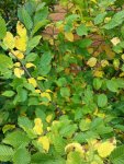 IMG-20160714-WA0011.jpg